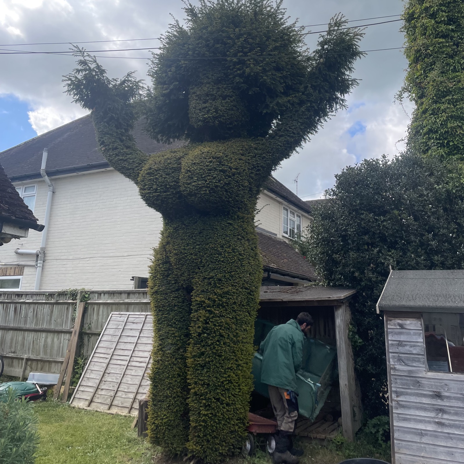 A striking figurative topiary specimen — the kind of shaped work that takes a patient hand.